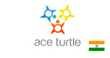 ace turtle